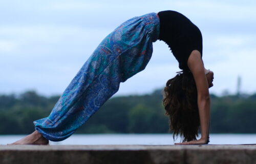 كورس مرونة الظهر Backband